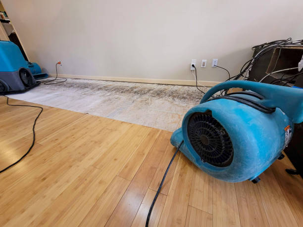 Professional Water Damage Repair technician working in New Philadelphia, OH